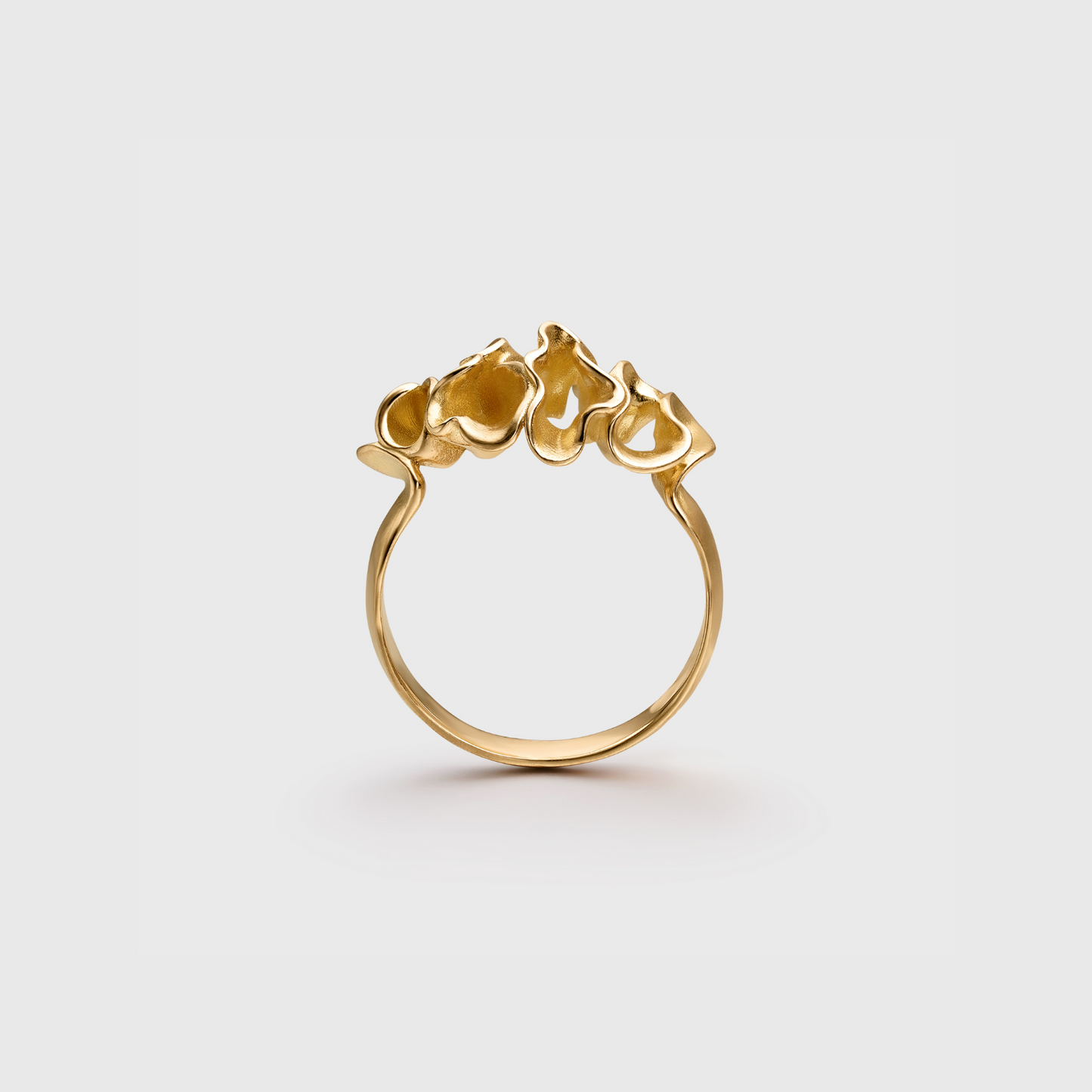 The Malacca Ring