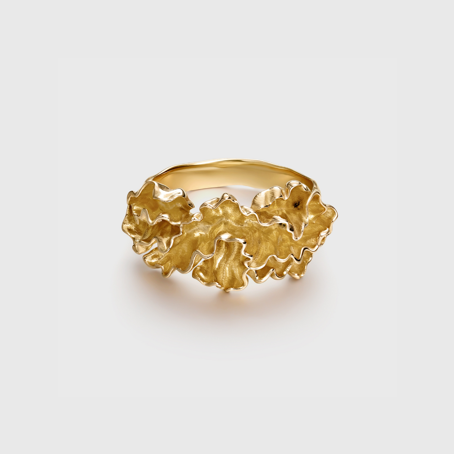 Agaricia Ring