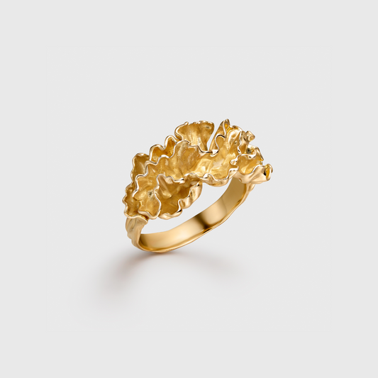 Agaricia Ring