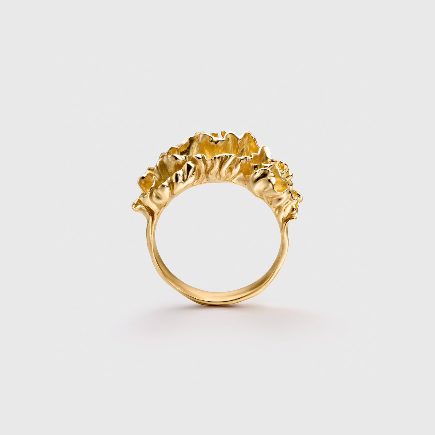 Agaricia Ring