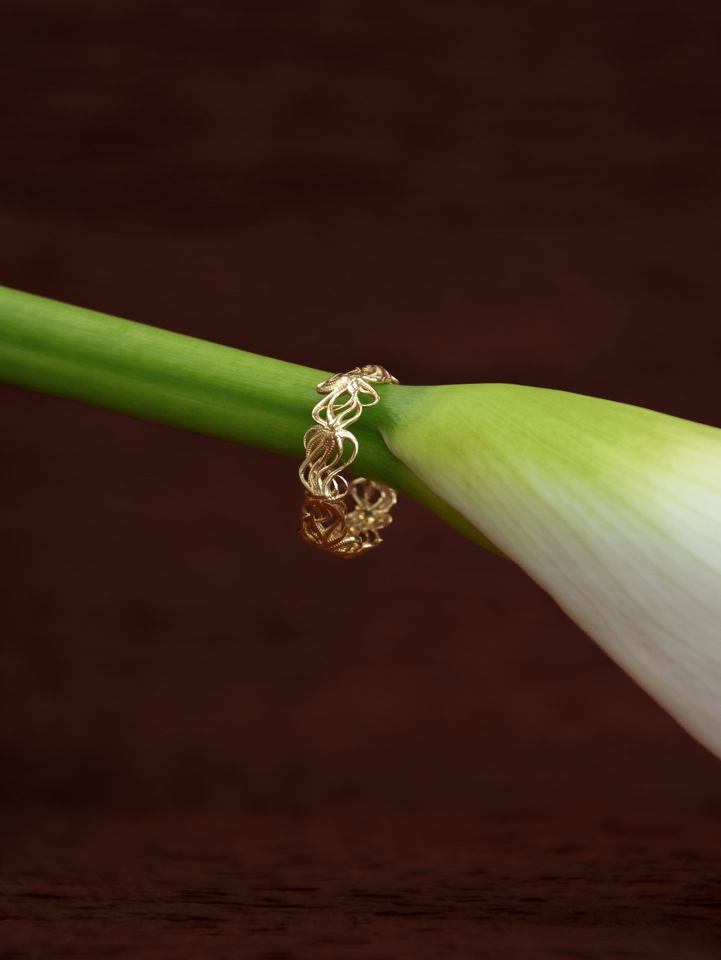 Astera Ring