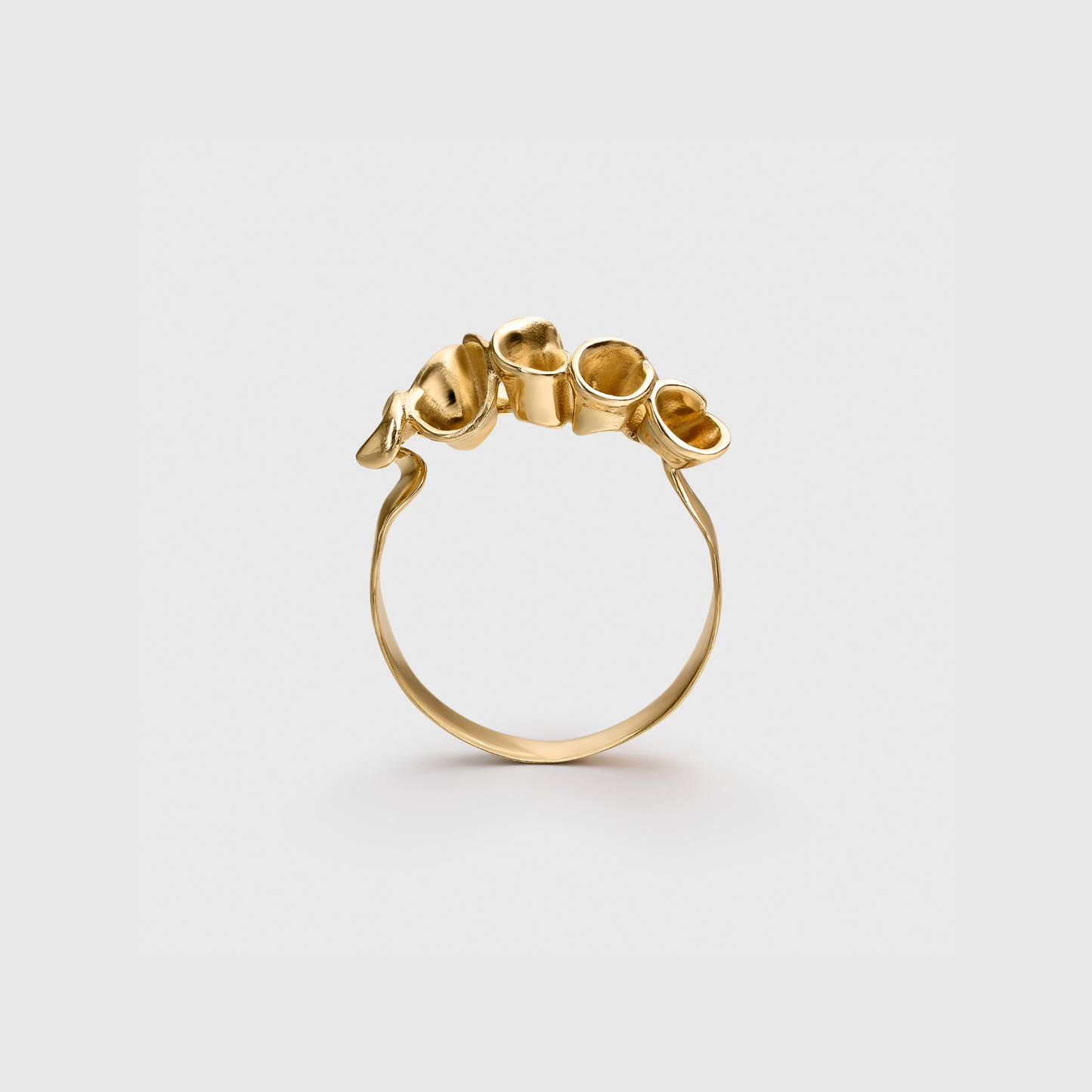 The Andaman Ring