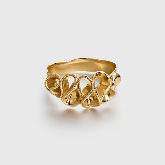 The Andaman Ring