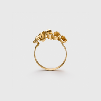 The Andaman Ring