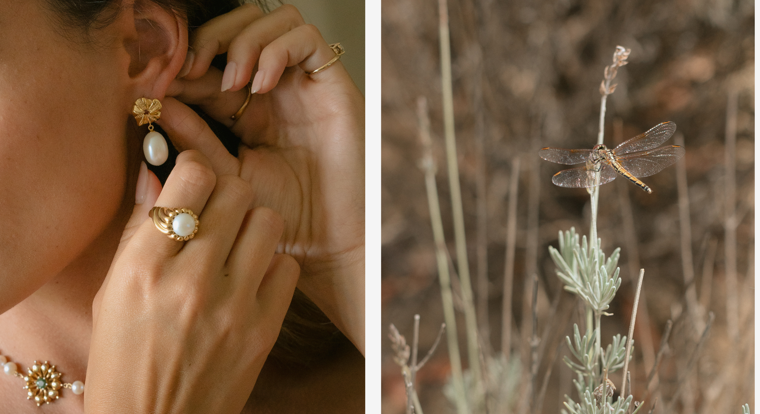 Sustainable recycled gold rings handcrafted in London, inspired by nature